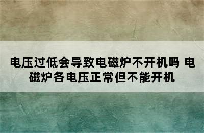 电压过低会导致电磁炉不开机吗 电磁炉各电压正常但不能开机